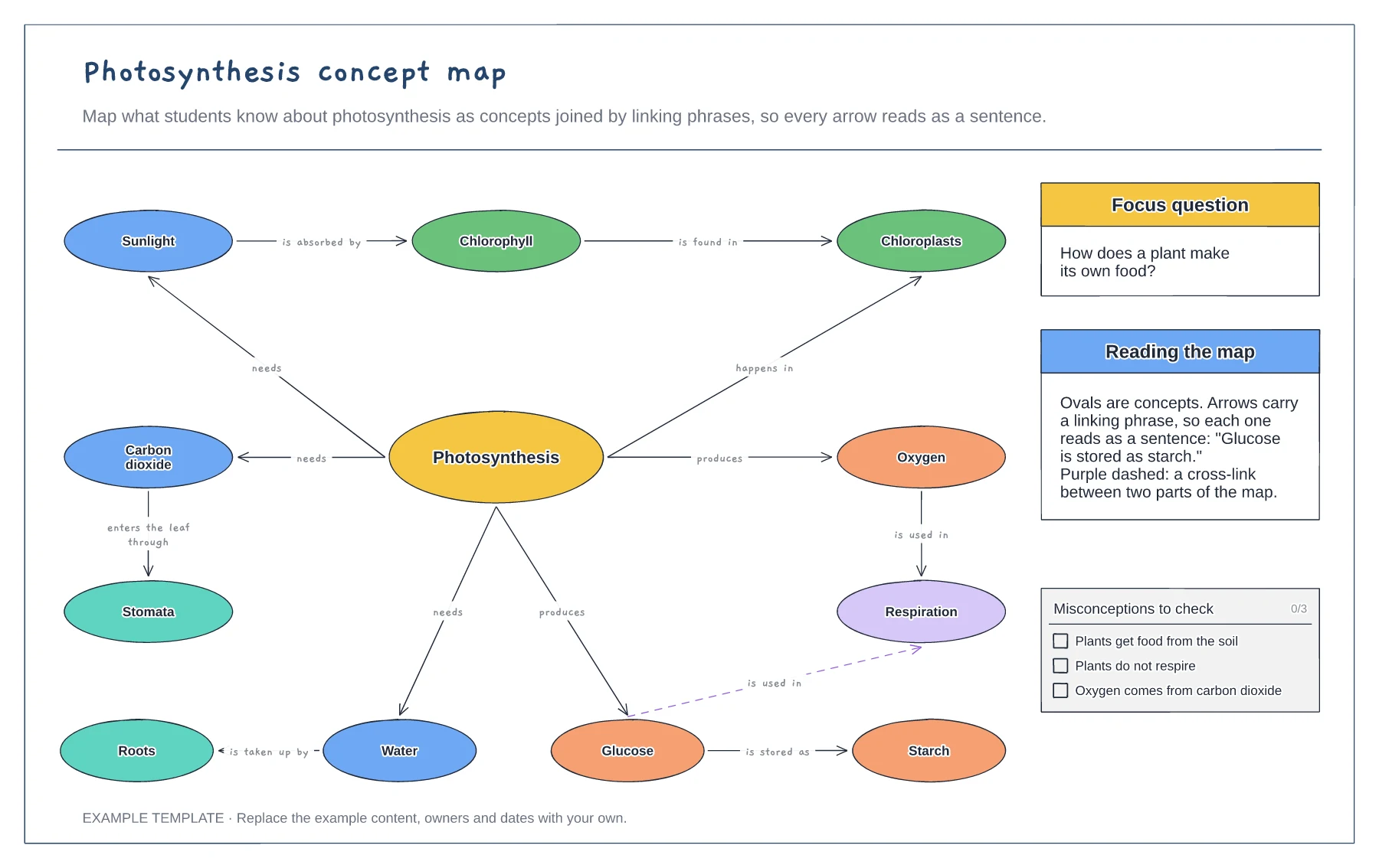 Photosynthesis concept map template preview